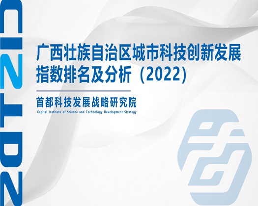 草逼大网【成果发布】广西壮族自治区城市科技创新发展指数排名及分析（2022）